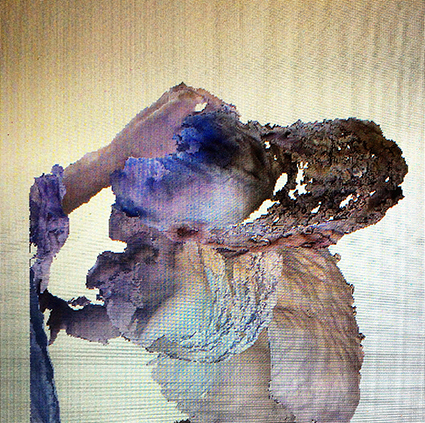 Interrupted 3D scan by artist Paul Coombs